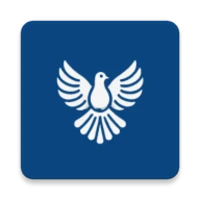 ByeByeDPI
